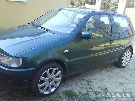 VW Polo 6N (Solgt) - Så kom de hvide sideblink fra Hovwdiaudi  :)  Det pyntede! billede 7