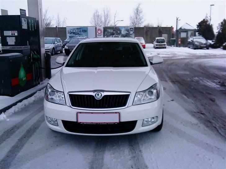 Skoda Octavia Greenline 1.6 TDI. "Solgt" - 50 liter på snehvide. billede 1