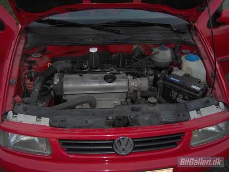 VW Polo 6N billede 3