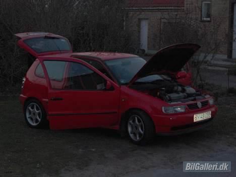VW Polo 6N - med de gamle fælge billede 5