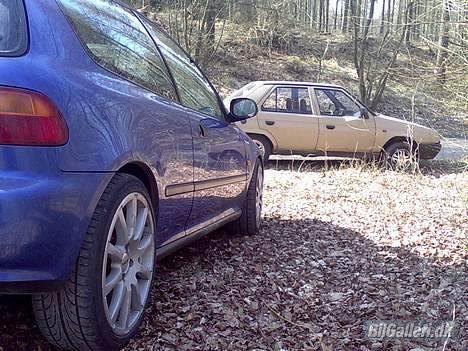 Skoda Favorit (skuzzie) *DØD*!! - bette civic da billede 12