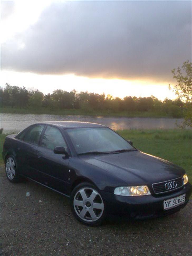 Audi A4 på SU (Solgt) - Tilbage i Danmark efter en længere tur i udlandet og modtaget med det sædvanlige danske regnvejr. Her fotograferet ved Kalø  :-) billede 2