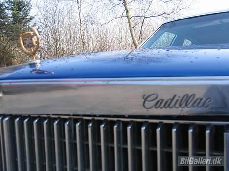 Cadillac Seville TILSALG TILSALG billede 4