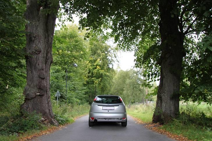 Ford Focus Blue Collection billede 8