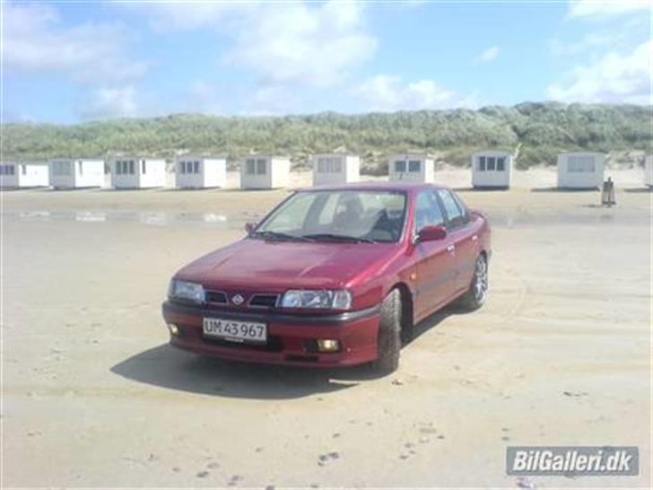 Nissan primera  R . I . P billede 1