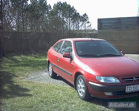Citroën Xsara 8V  DØD billede 12