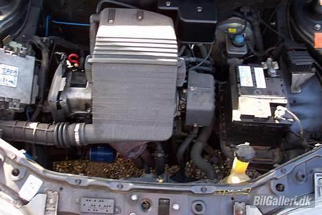 Fiat Punto 1.2 75 (SOLGT) - Den lille søde motor =) It´s so cute, og stadig bedre end Kadetten.. dejligt billede 9