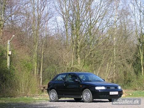 Audi A3 *Solgt* :( billede 6