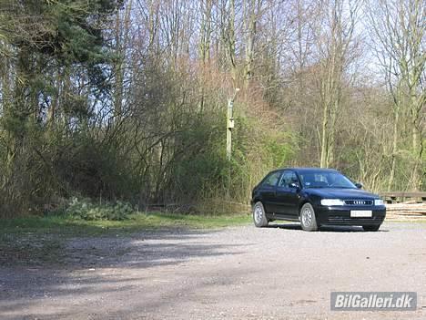 Audi A3 *Solgt* :( billede 9