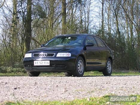 Audi A3 *Solgt* :( billede 10