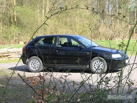 Audi A3 *Solgt* :( billede 13