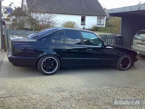BMW 540i - solgt billede 11