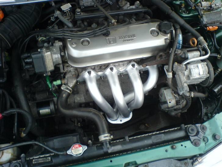 Honda Accord CC7 2,0i  Solgt - Motorrummet, nu med DC Sports manifold. billede 5