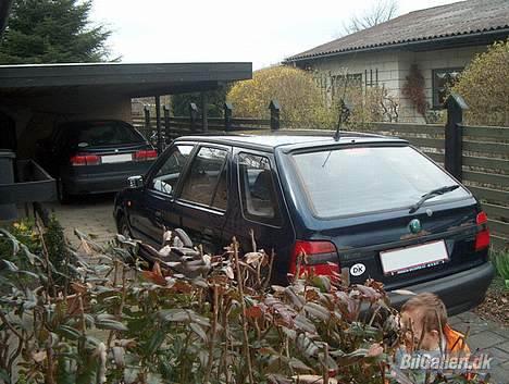 Skoda Felicia GLX Combi - Min mor tog de billeder af bilen i deres indkørsel.. billede 2