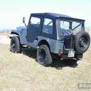 Jeep Willys M38A1