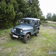 Jeep Willys M38A1