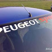 Peugeot 306 1,6 xs