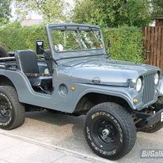 Jeep Willys M38A1