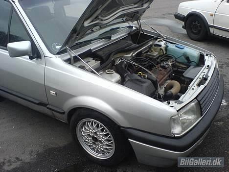 VW polo 3 coupe GT SOLGT billede 5