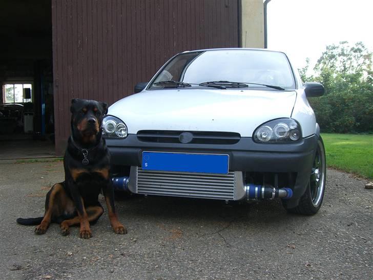 Opel Corsa Turbo billede 6