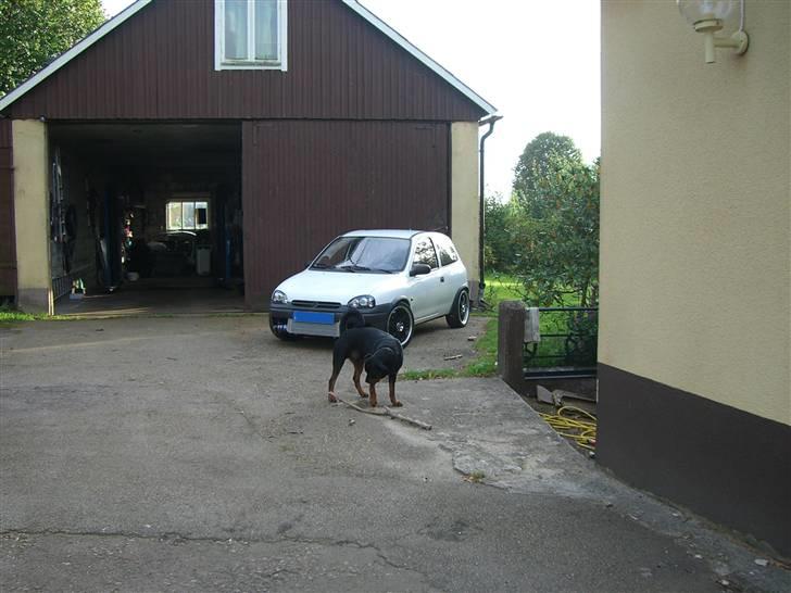 Opel Corsa Turbo billede 7
