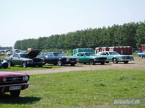 Ford mustang coupe "solgt" billede 10