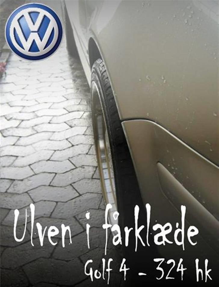 VW Golf 4 324 HK  billede 19