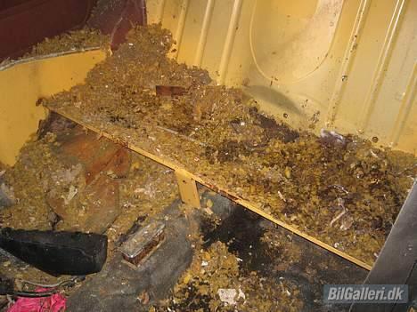 Austin-Morris mascot mini SKROTTET billede 19