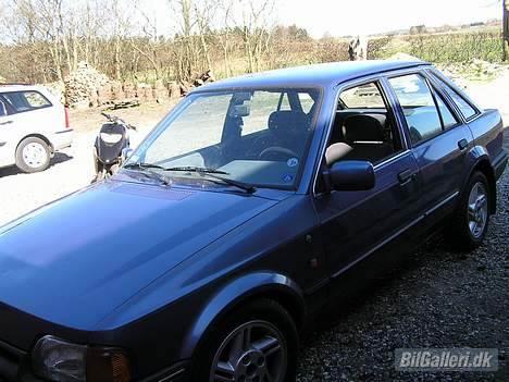 Ford Escort 1.3 Ghia billede 13