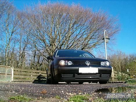 VW Golf IV  Trendline billede 13