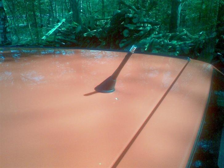 VW Golf 3.97.. sol.... - nyt...billede.. billede 14