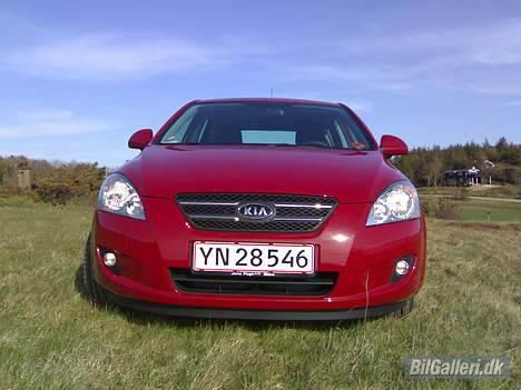Kia Cee'd 1,6 CVVT ex. SOLGT billede 1