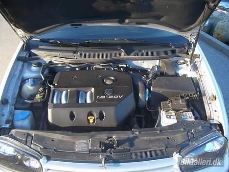 VW Golf 4 *SOLGT* billede 7