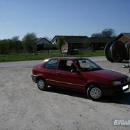 Renault 19 død og borte