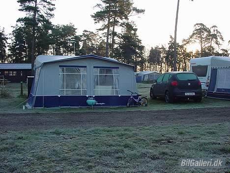 Seat !!!!!!!ANDERS´ ALTEA billede 11