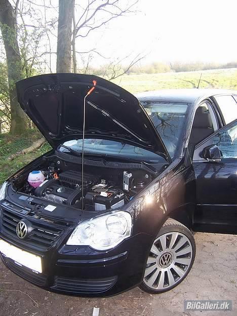 VW Polo V 9N3 (SOLGT) billede 7