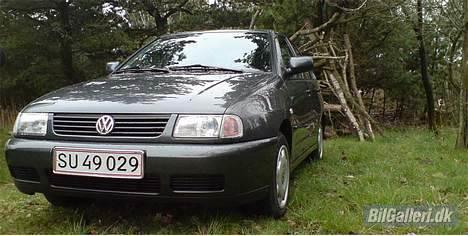 VW Polo Classic [SOLGT] - Sådan ser hun ud pr. 8/4-2007. Krom nummerplade og klare for- og sideblink.  billede 15