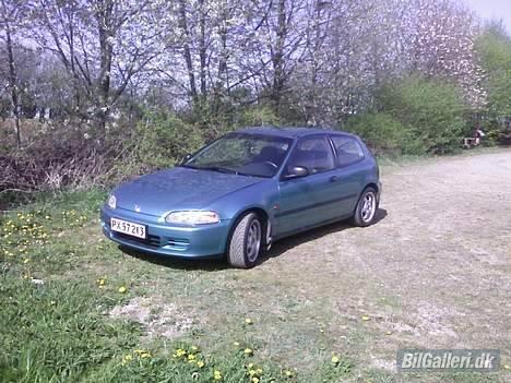 Honda Civic *SOLGT* billede 1