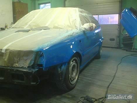 VW                 Vento TDI - lige efter lakering billede 11