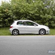 Peugeot 307 Rieger