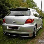 Peugeot 307 Rieger