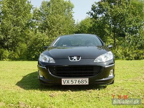 Peugeot 407 billede 1