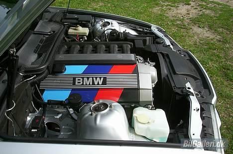 BMW 320 cabriolet *SOLGT* billede 3