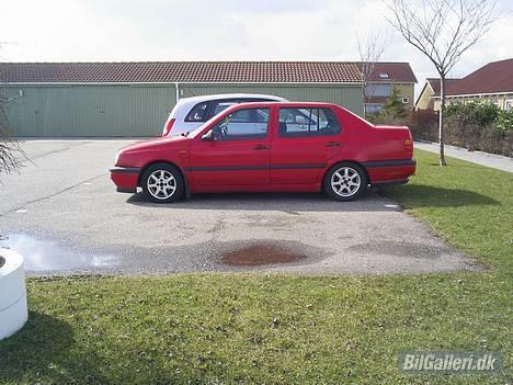 VW vento projekt  død  billede 10