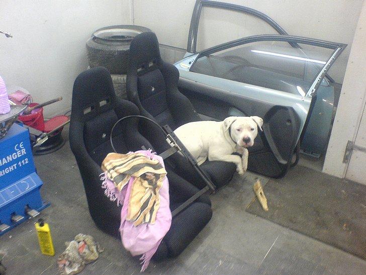 VW polo hit Stage 1/3 billede 9