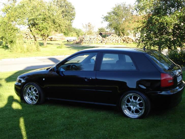 Audi A3  SOLGT billede 11