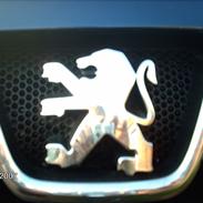 Peugeot 206 (totalskadet)
