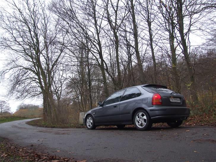 Honda Civic 1,5i LS - En lille skovtur. billede 5