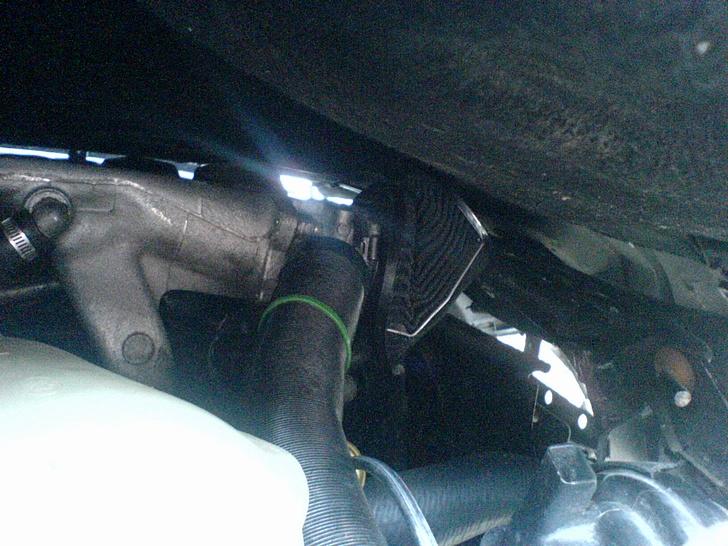 Ford sierra (død) billede 14