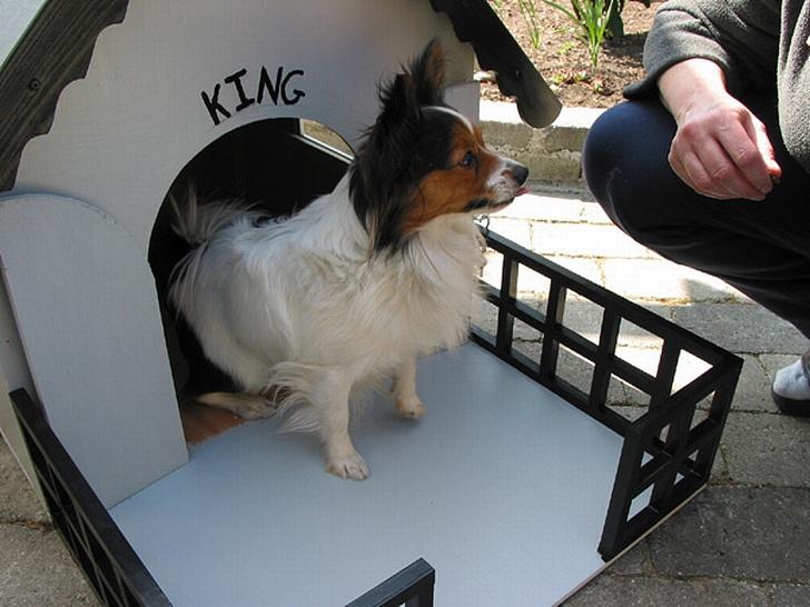 VW Polo 9n billede 8